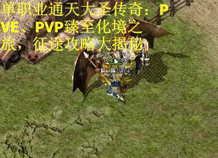 单职业通天大圣传奇：PVE、PVP臻至化境之旅，征途攻略大揭秘