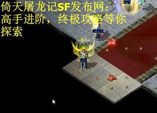 倚天屠龙记SF发布网：高手进阶，终极攻略等你探索