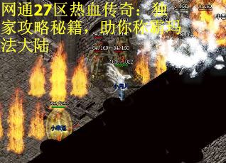 网通27区热血传奇：独家攻略秘籍，助你称霸玛法大陆