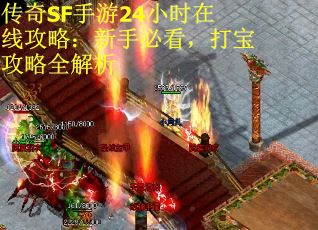 传奇SF手游24小时在线攻略：新手必看，打宝攻略全解析